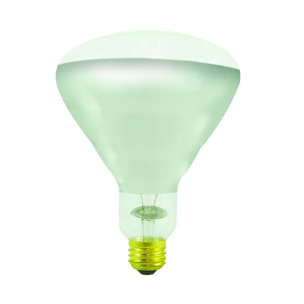 Bulbrite 714025 Incandescent BR40