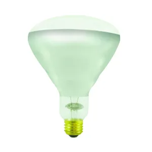 Bulbrite 714025 Incandescent BR40