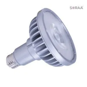 Bulbrite 777740 LED PAR30LN