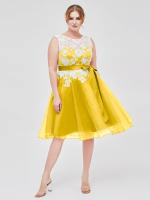 Illusion Neck Organza with Ivory Lace Appliqued Marigold Plus Size