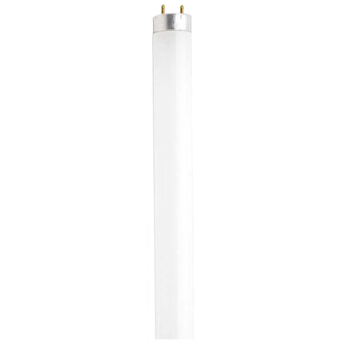 Satco S6535 Fluorescent T8